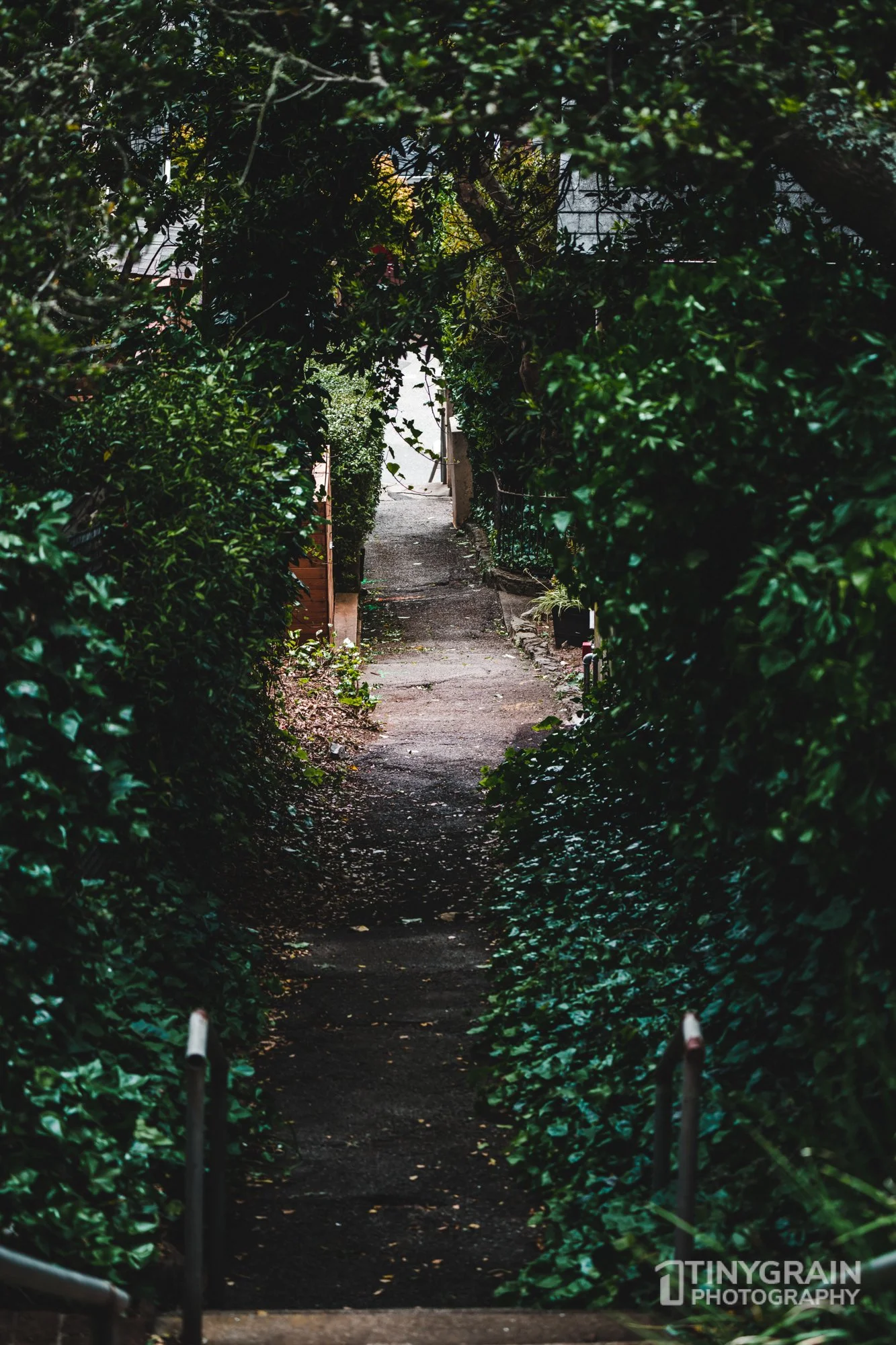 20230528-Sausalito-A7503240-bay-area-sausalito-stairs.jpg
