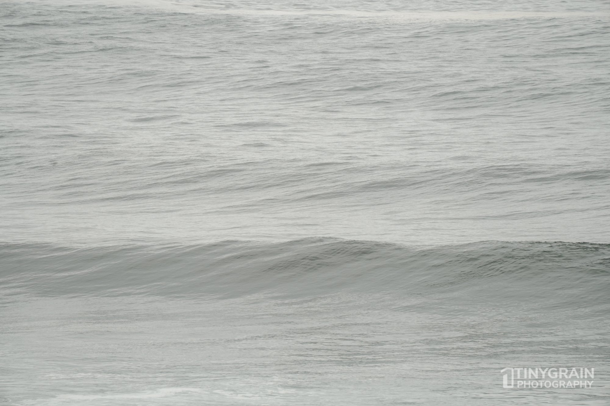 20221223-TSR-A7406031-the-sea-ranch-marine-conservation-pacific-ocean-waves.jpg