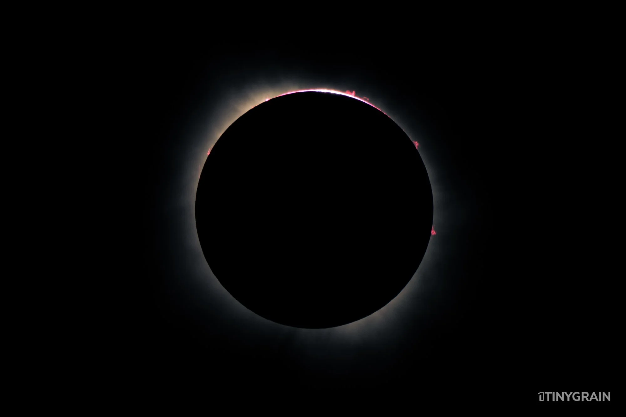 20240409-Eclipse-DallasTX-A7500653-2024-texas-totality-solar-eclipse-sun-moon.jpg