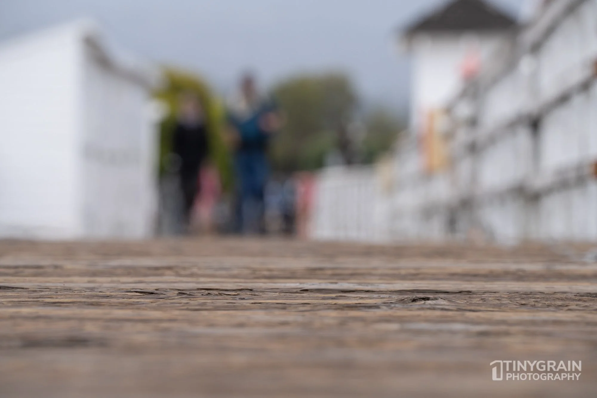 20230528-Sausalito-A7503331-bay-area-sausalito-downtown.jpg