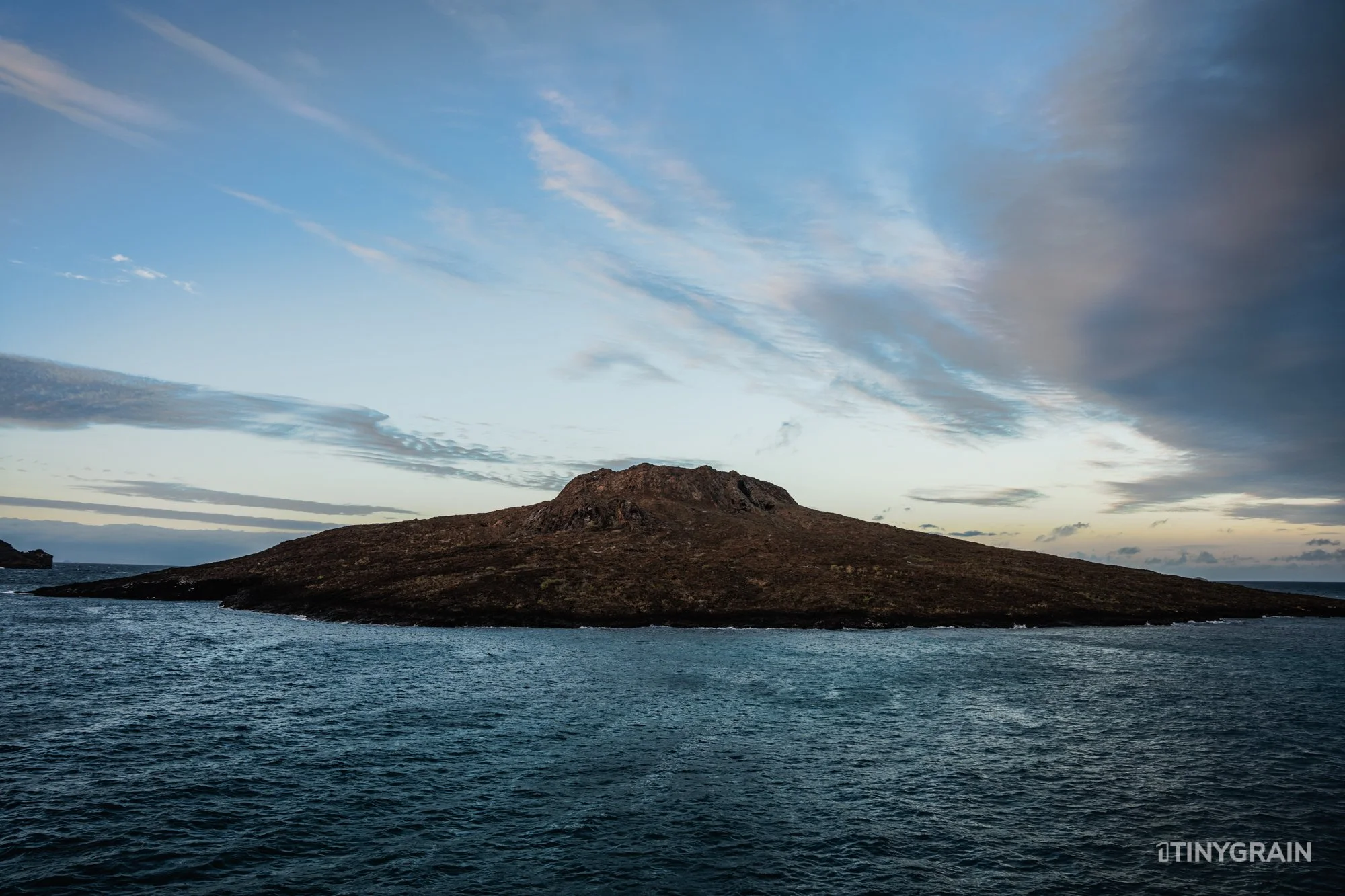 20230805-Galapagos-06-IslaSantiago-ChineseHat-A7403647-galapagos-islands-ecuador-wildlife-marine-conservation-species-darwin.jpg
