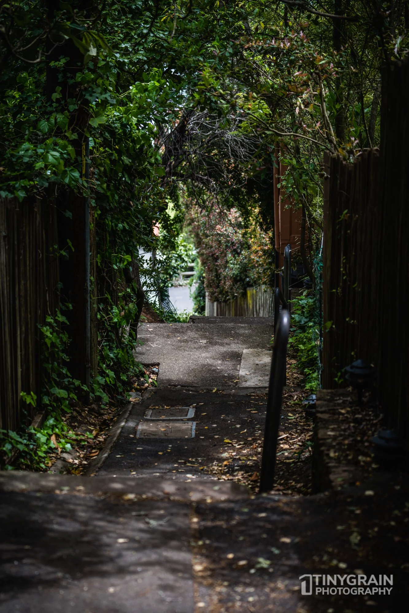 20230528-Sausalito-A7503266-bay-area-sausalito-stairs.jpg