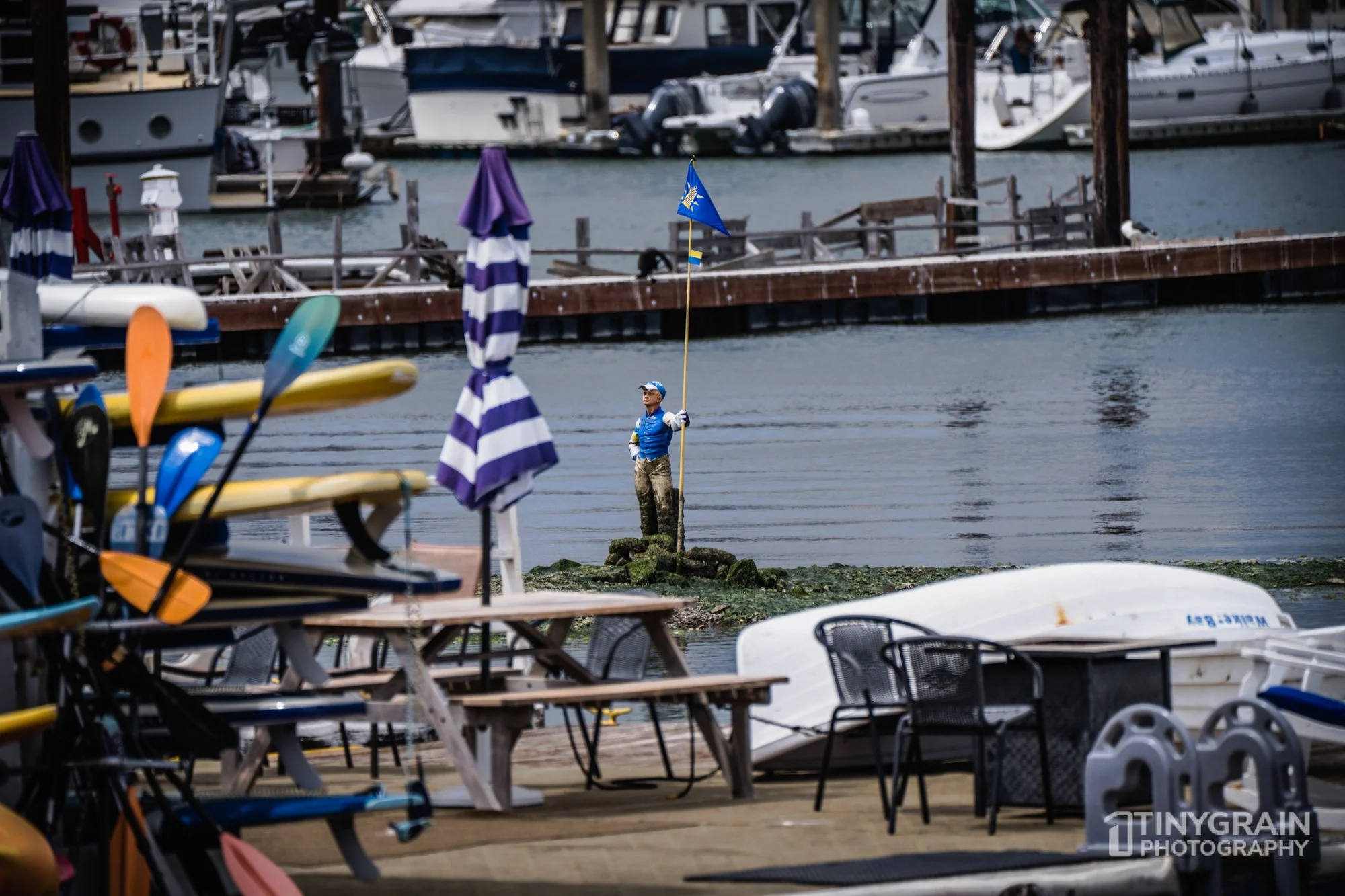 20230528-Sausalito-A7503362-bay-area-sausalito.jpg