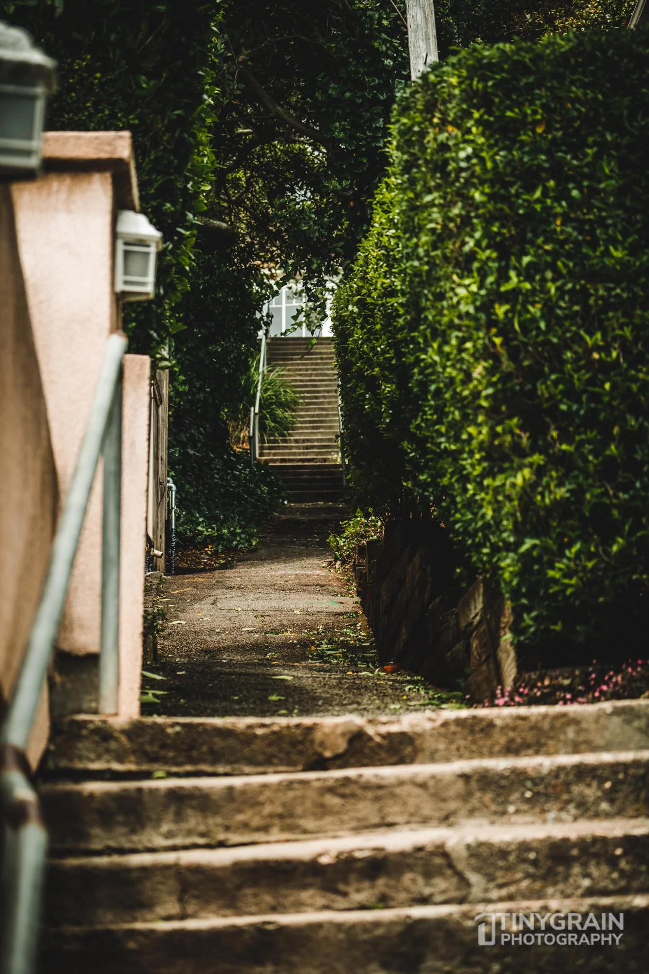 20230528-Sausalito-A7503246-bay-area-sausalito-stairs.jpg