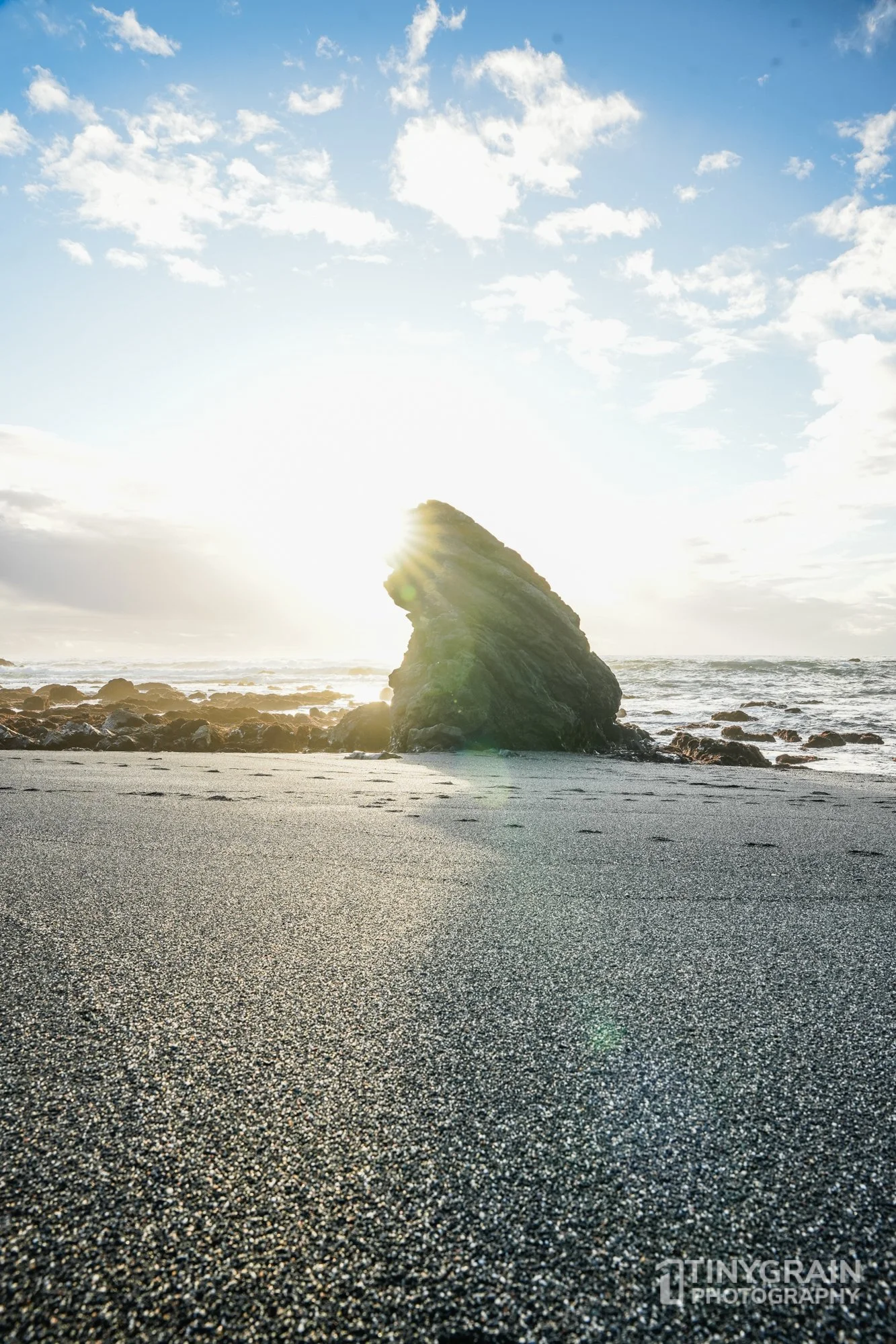 202212-TSR-PebbleBeach-A7405133-the-sea-ranch-marine-conservation-pacific-ocean.jpg