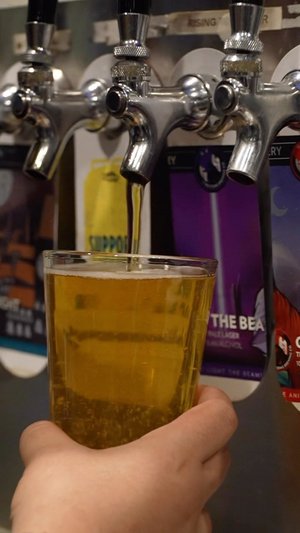 King Cong Brewing Company photo