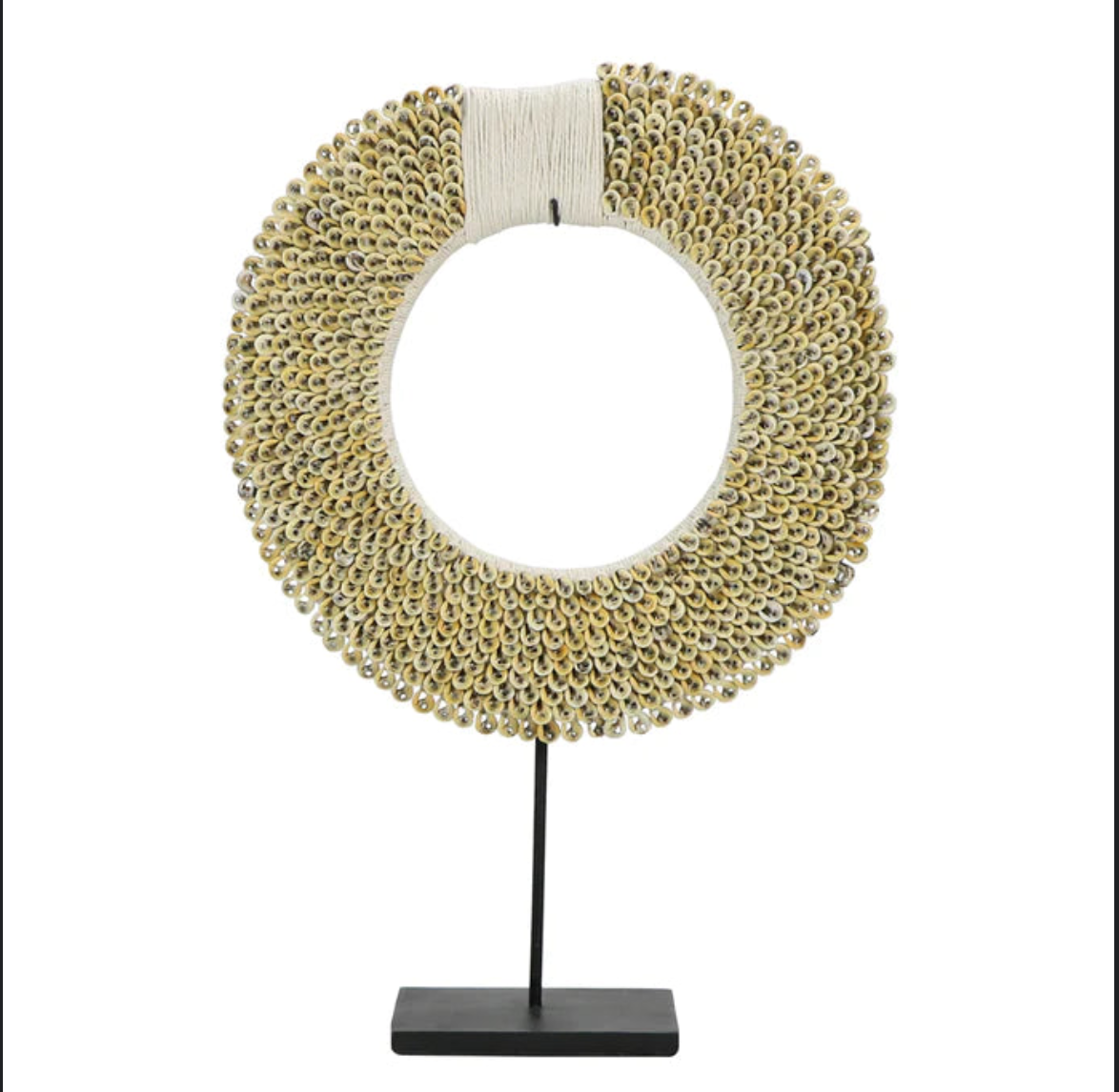 Screen Shot 2023-07-14 at 11.16.18 AM.png