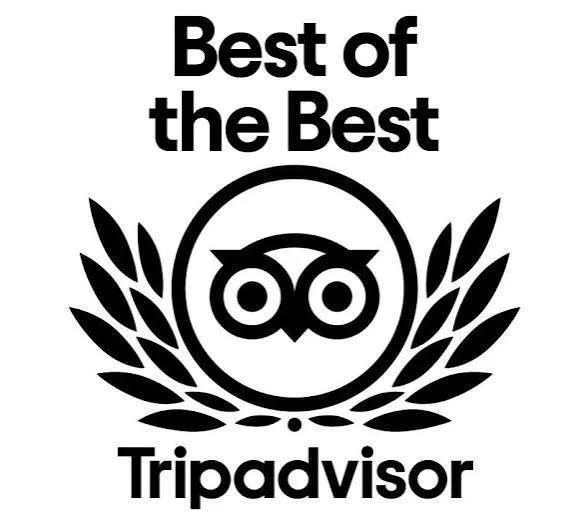 Black and white logo featuring an owl's face surrounded by laurel branches, with the text 'Best of the Best' above and 'Tripadvisor' below.