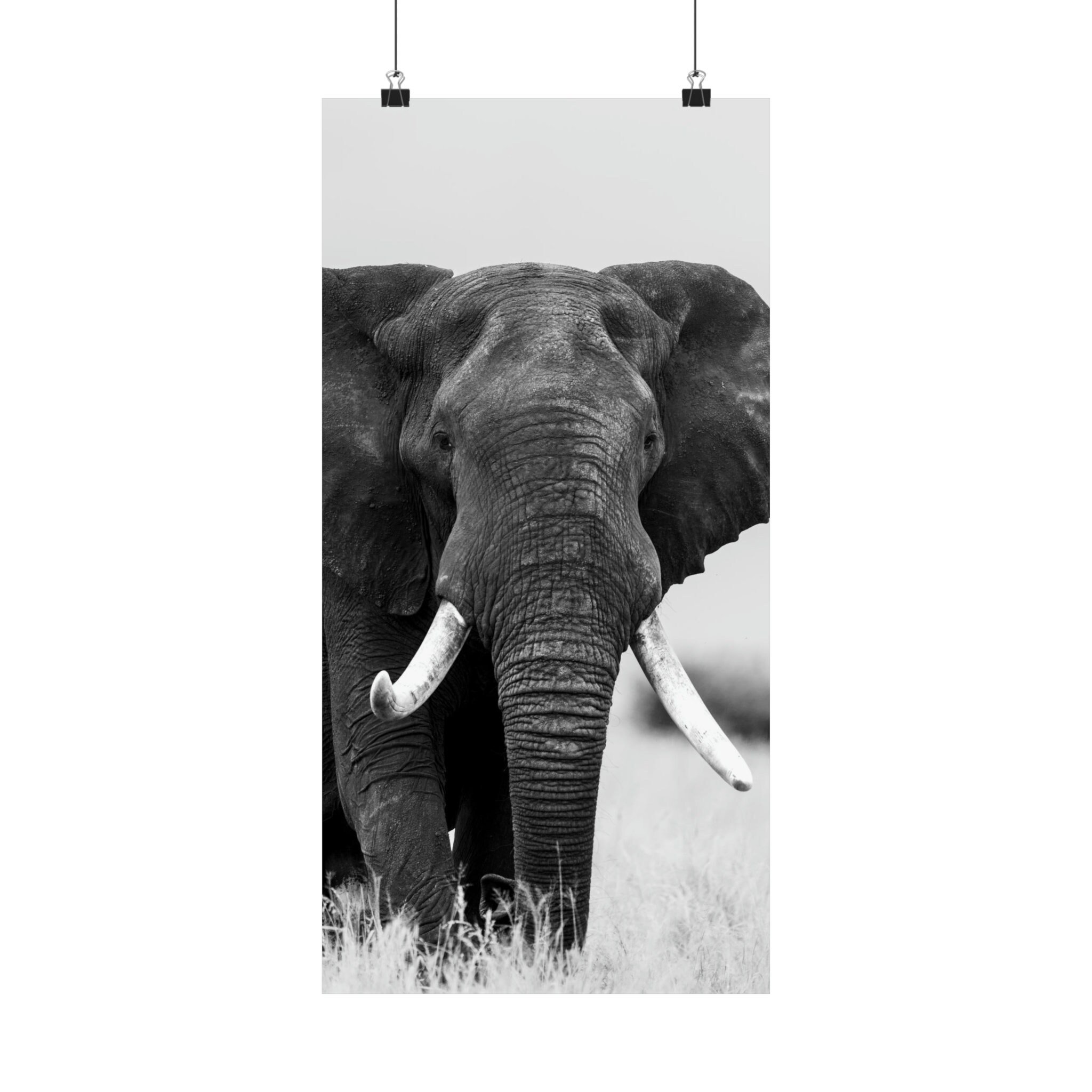 https://i.etsystatic.com/38352797/r/il/78db54/5313508809/il_fullxfull.5313508809_acpc.jpg