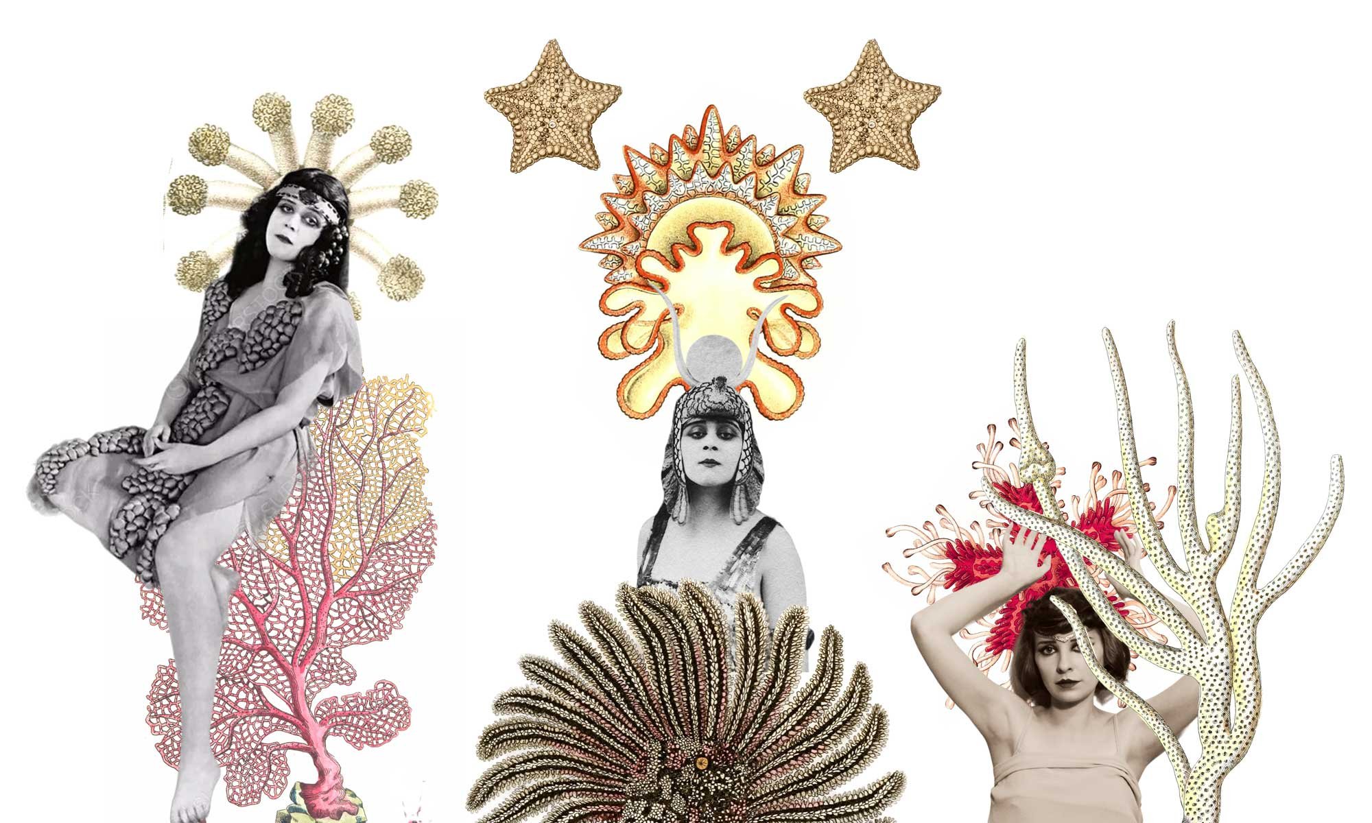 Starfish-THEDA.jpg