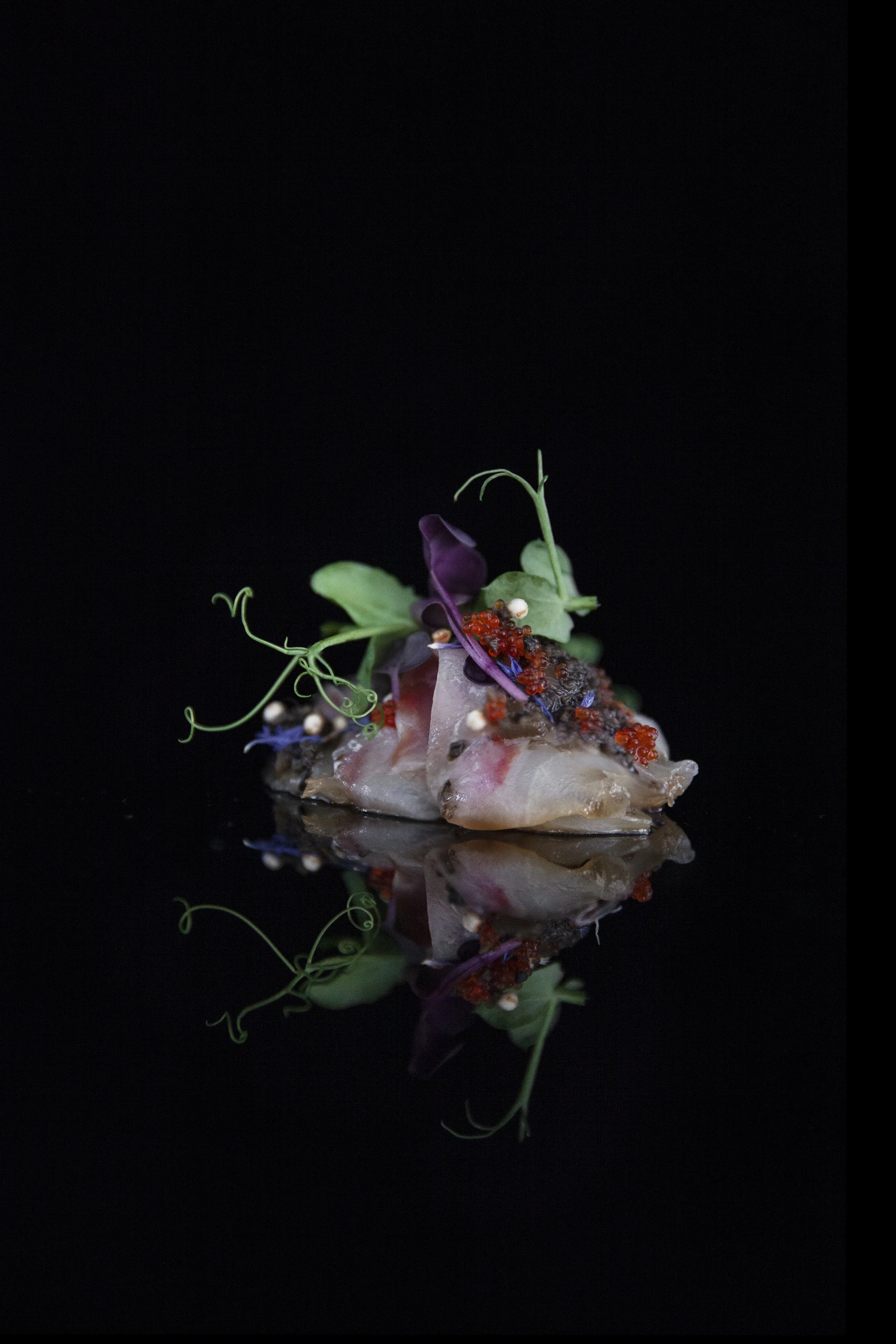 Seabass Toryufu | © Reichsrat von Buhl