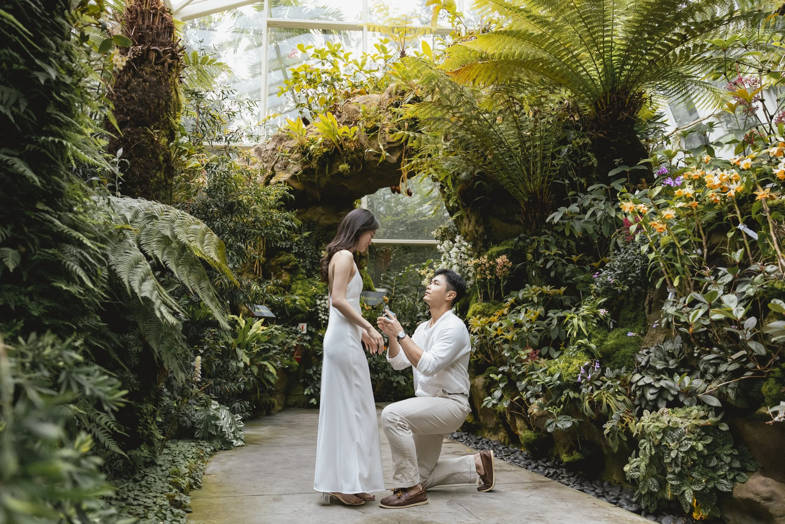 Aloysius and Yinghe Proposal_020125_Edited-9.jpg