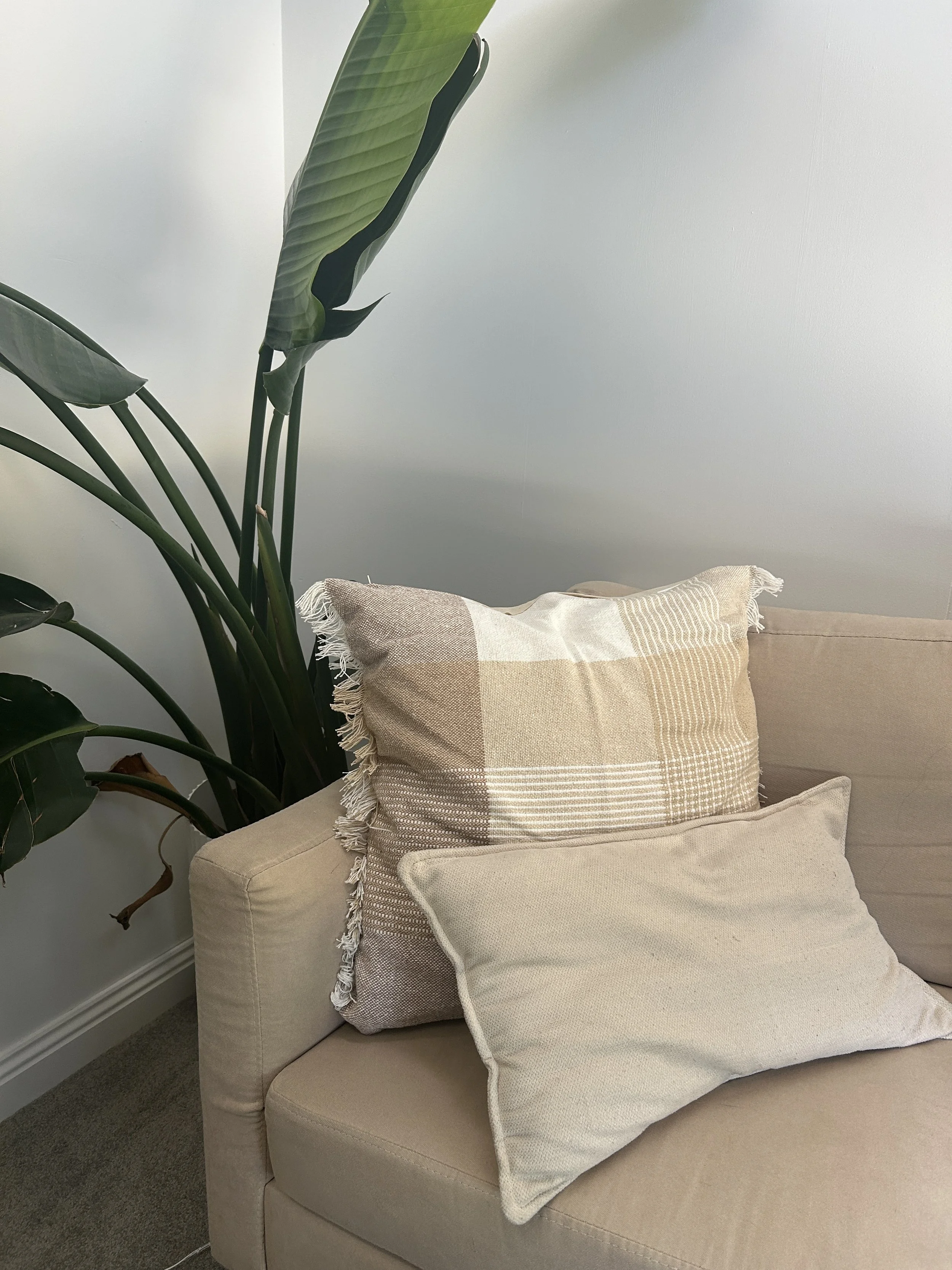 A beige sofa with two throw pillows, one with a plaid pattern and fringe edges, and the other solid beige, next to a large green houseplant with dark green leaves, against a light-colored wall.