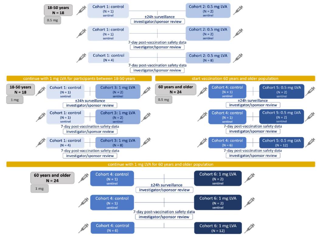 A Novel Carbohydrate Fatty-Acid Monosulphate Ester, Squalane-in-Water Adjuvant Is Safe and Enhances Inactivated Influenza Vaccine Immunogenicity in Older Adults