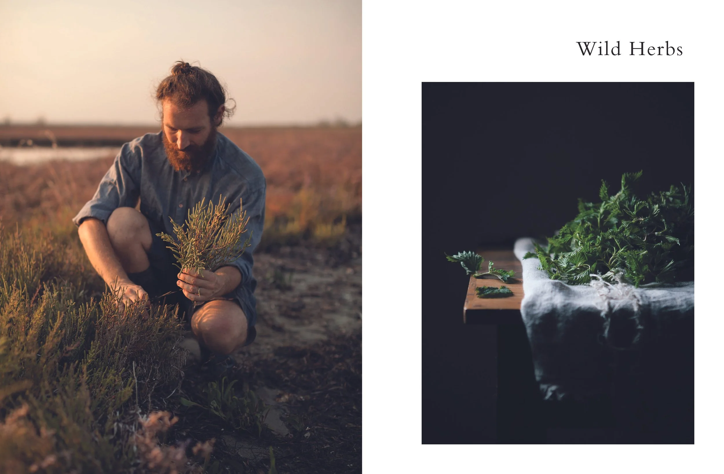 TRA CUCINA E ATELIER_INGLESE_PRESENTATION_Page_036.jpg