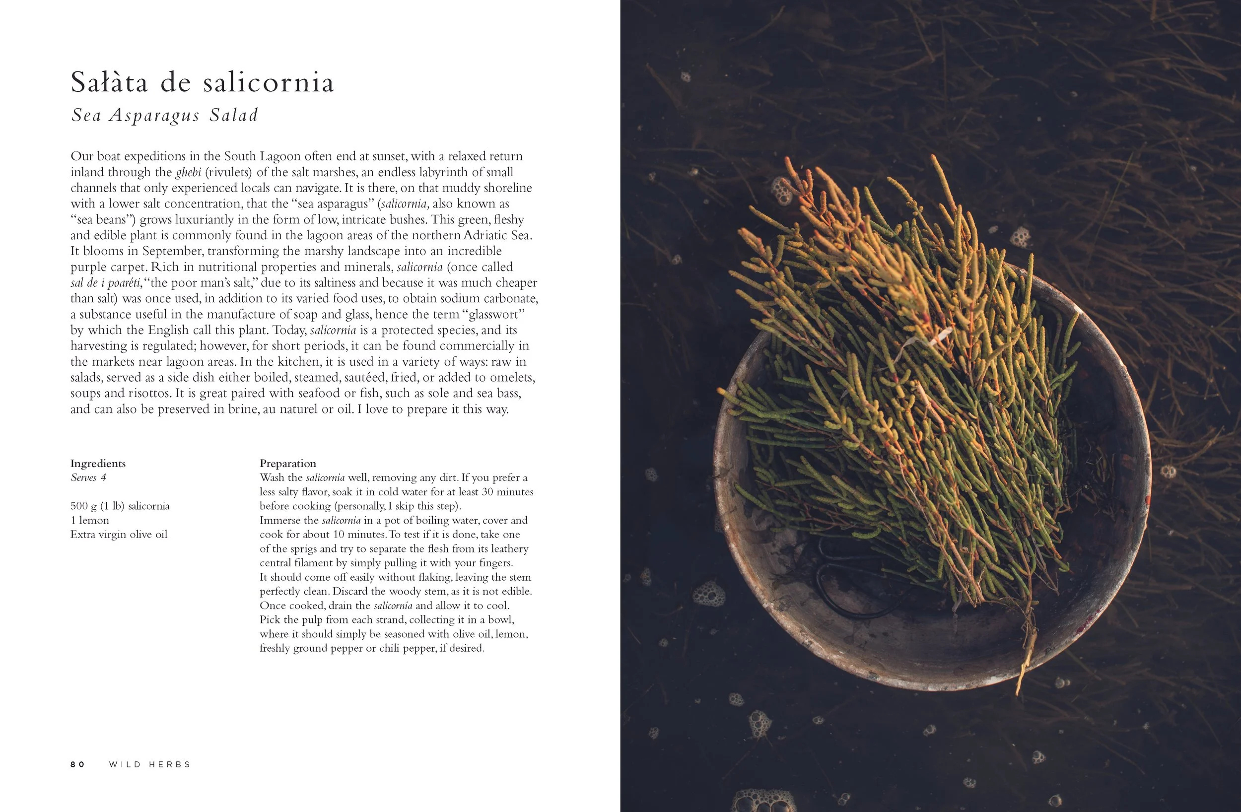 TRA CUCINA E ATELIER_INGLESE_PRESENTATION_Page_041.jpg