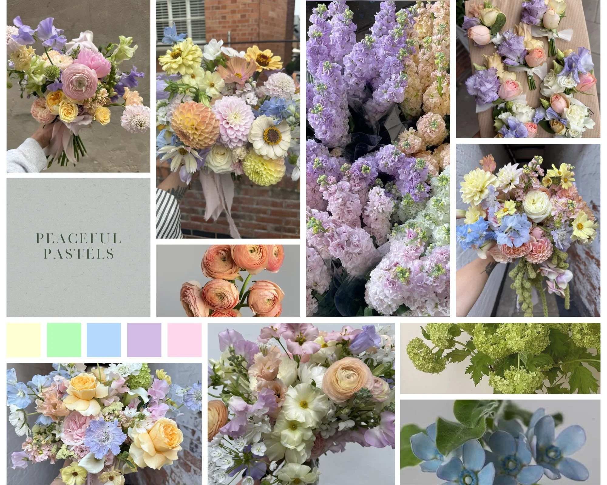 _Green Aesthetic Simple Minimalist Mood Board Photo Collage (1).jpg