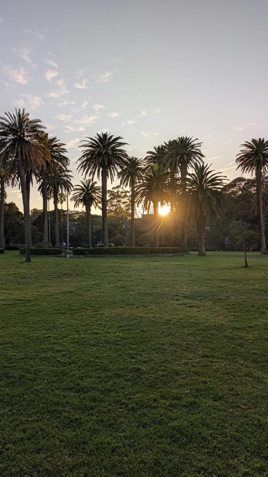 Spring Mornings Are Made for Movement: How Early Light Boosts Your Energy