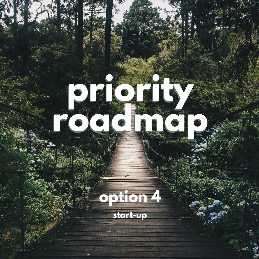 4. The Priority Roadmap