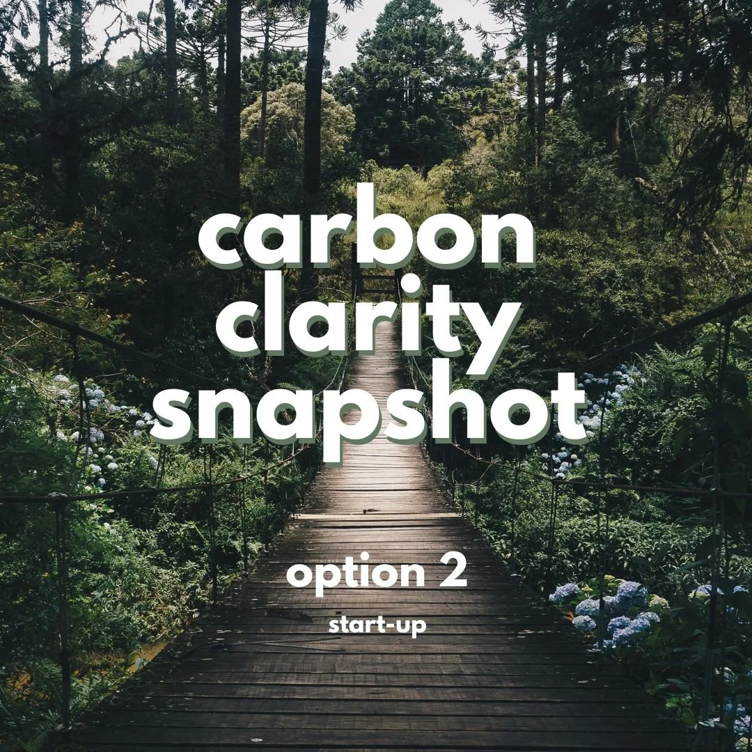2.  Carbon Clarity Snapshot