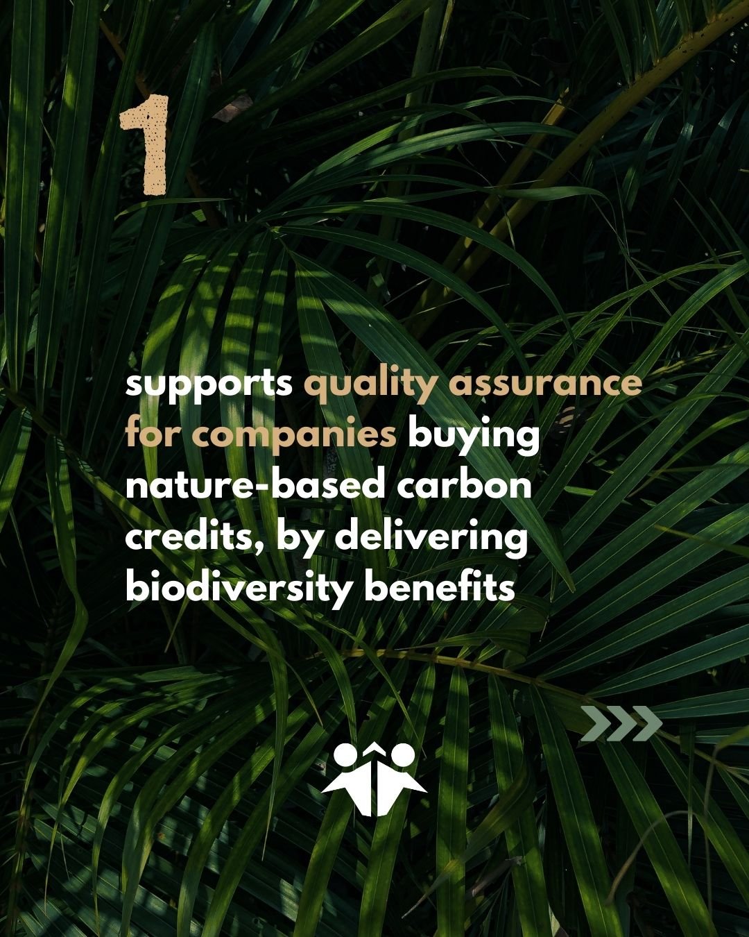 What are Biodiversity Credits 4.jpg