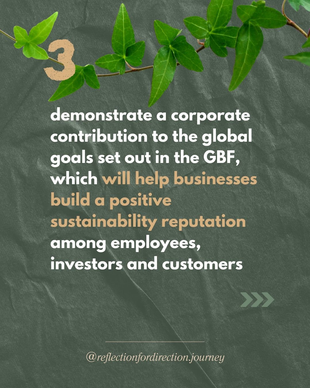 What are Biodiversity Credits 6.jpg