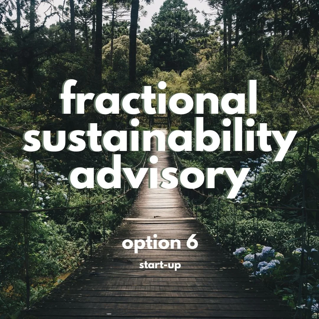 Option 6 Fractional Sustainability Advisory.jpg