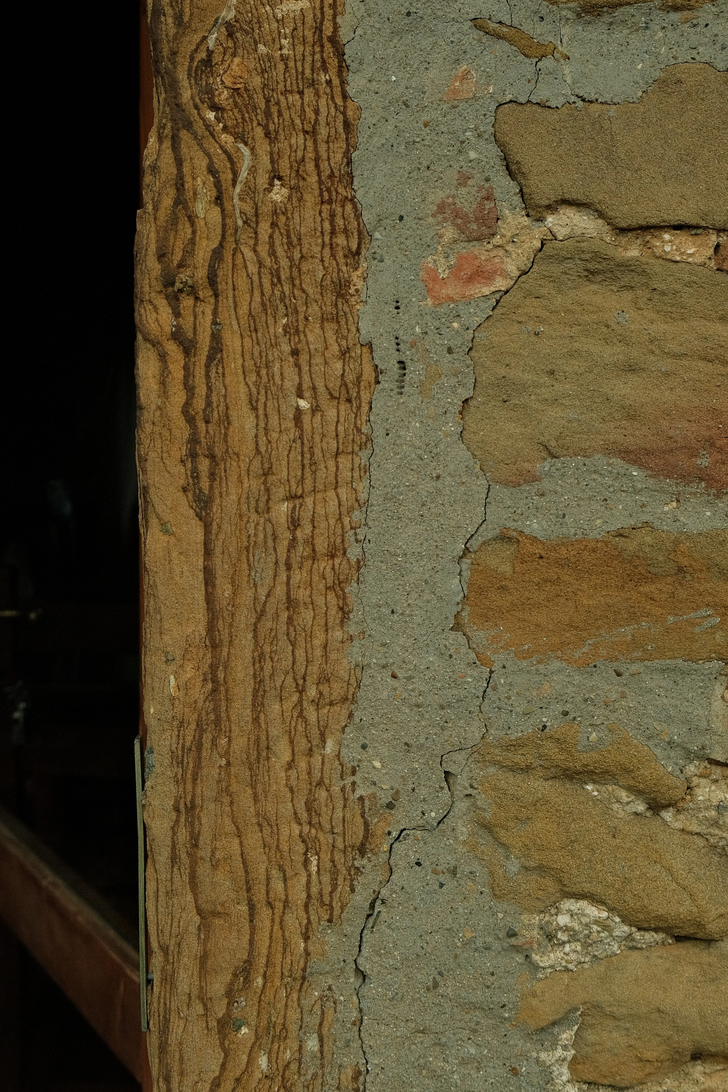 DSCF0867.JPG