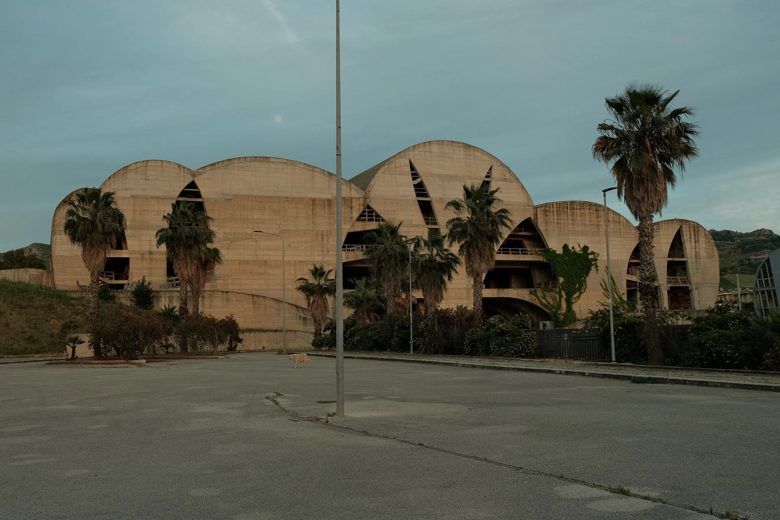 DSCF0835.JPG