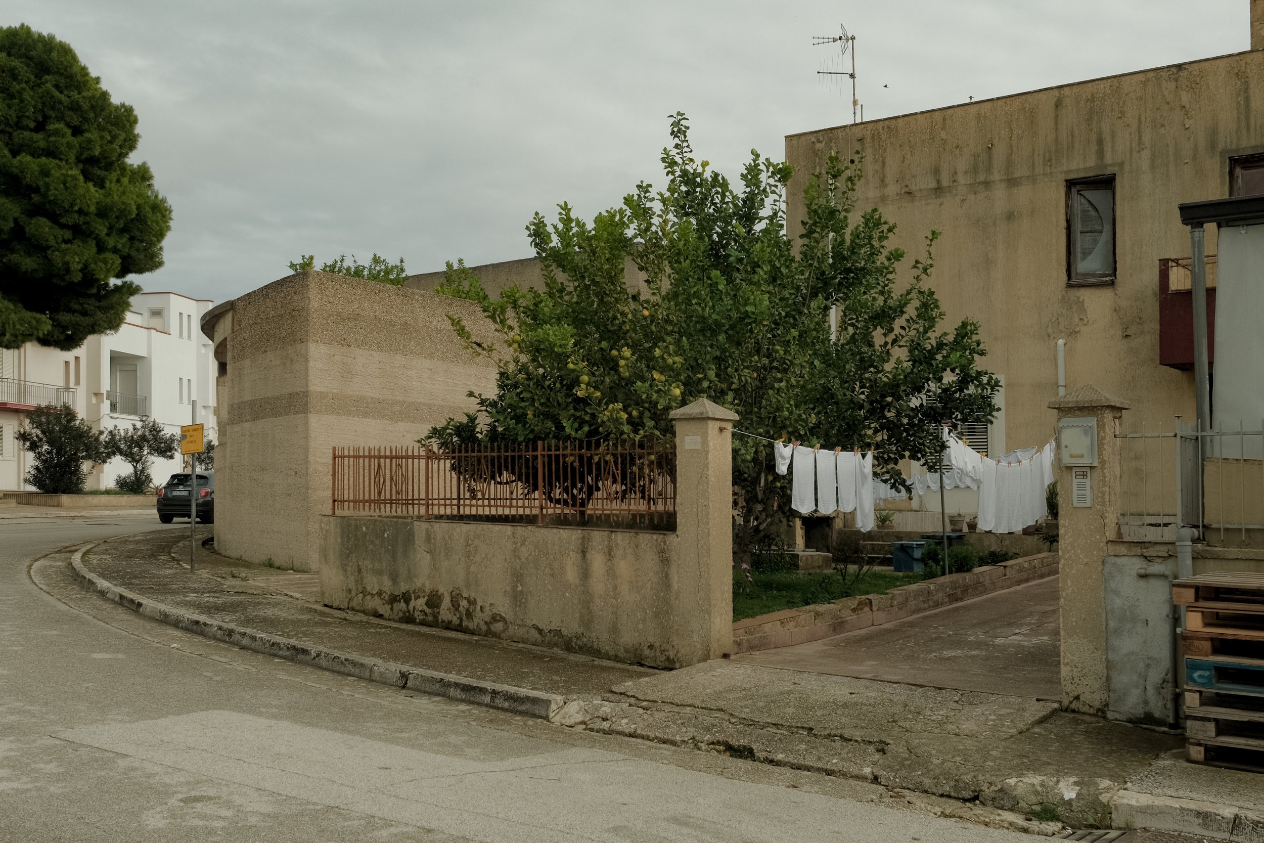 DSCF0711.jpg