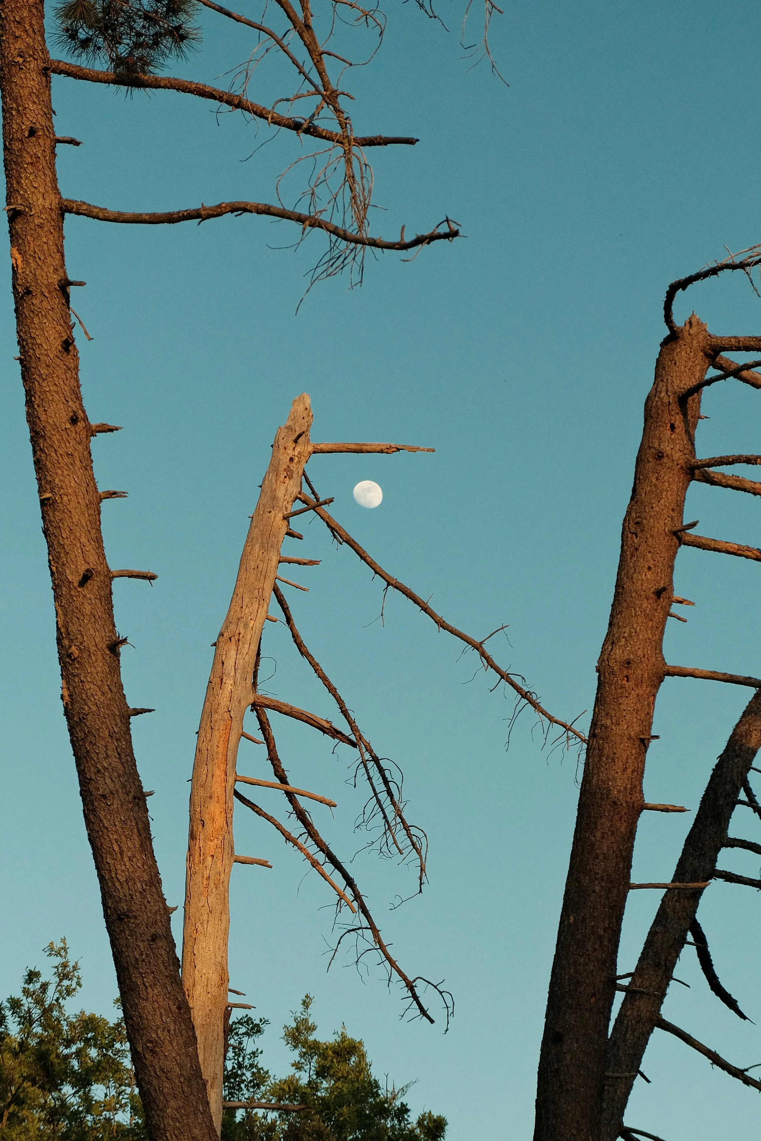 DSCF0943.JPG