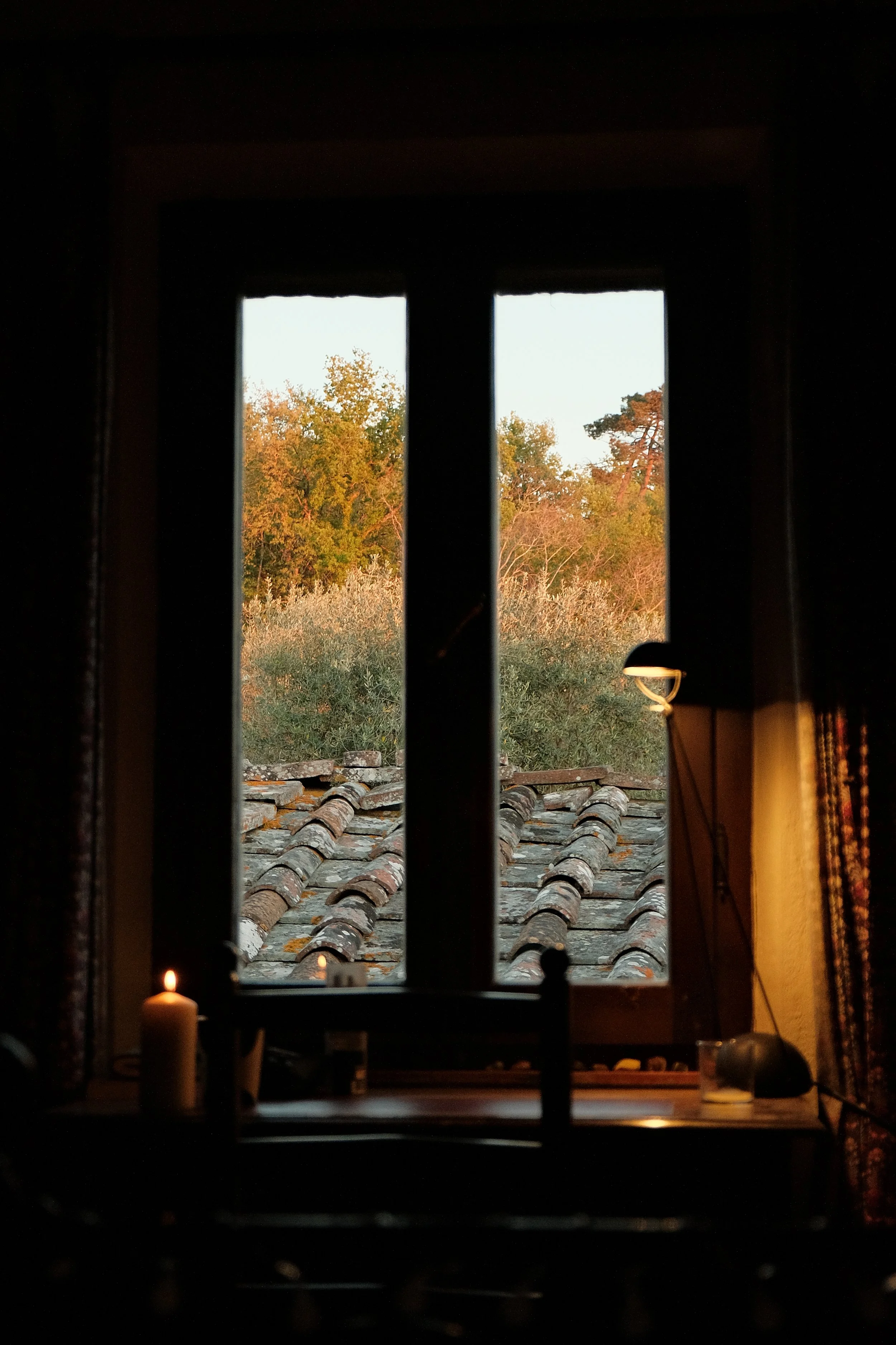 DSCF0914.JPG