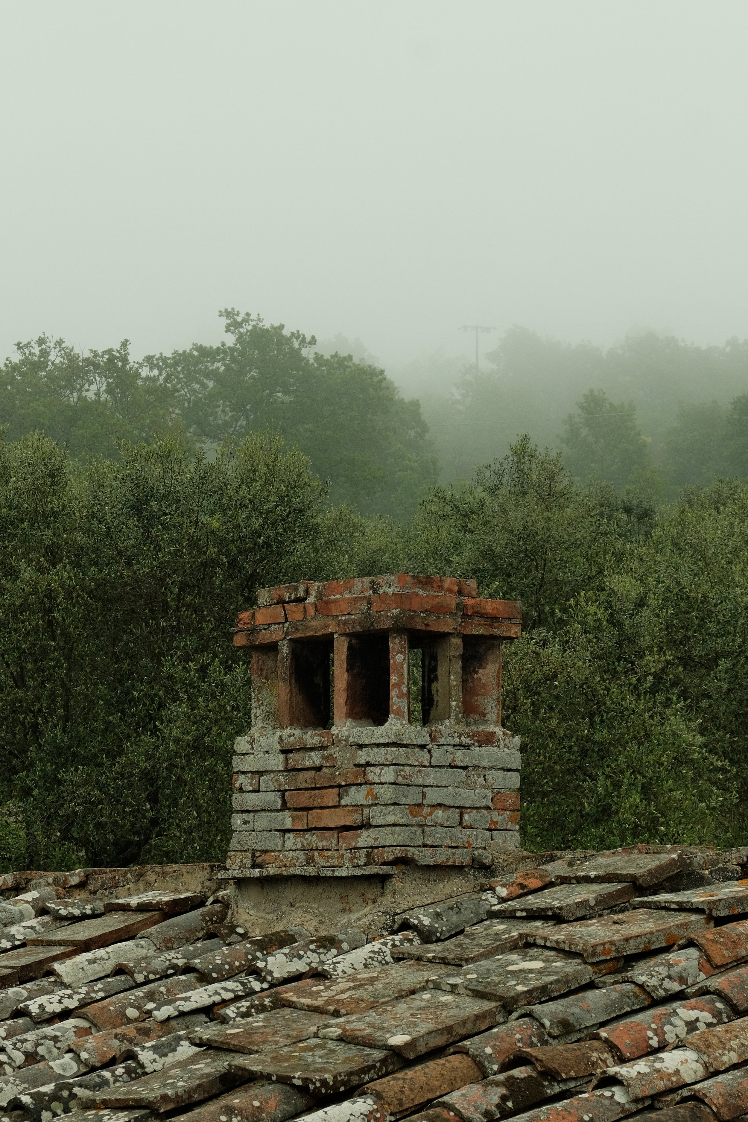 DSCF1056.JPG