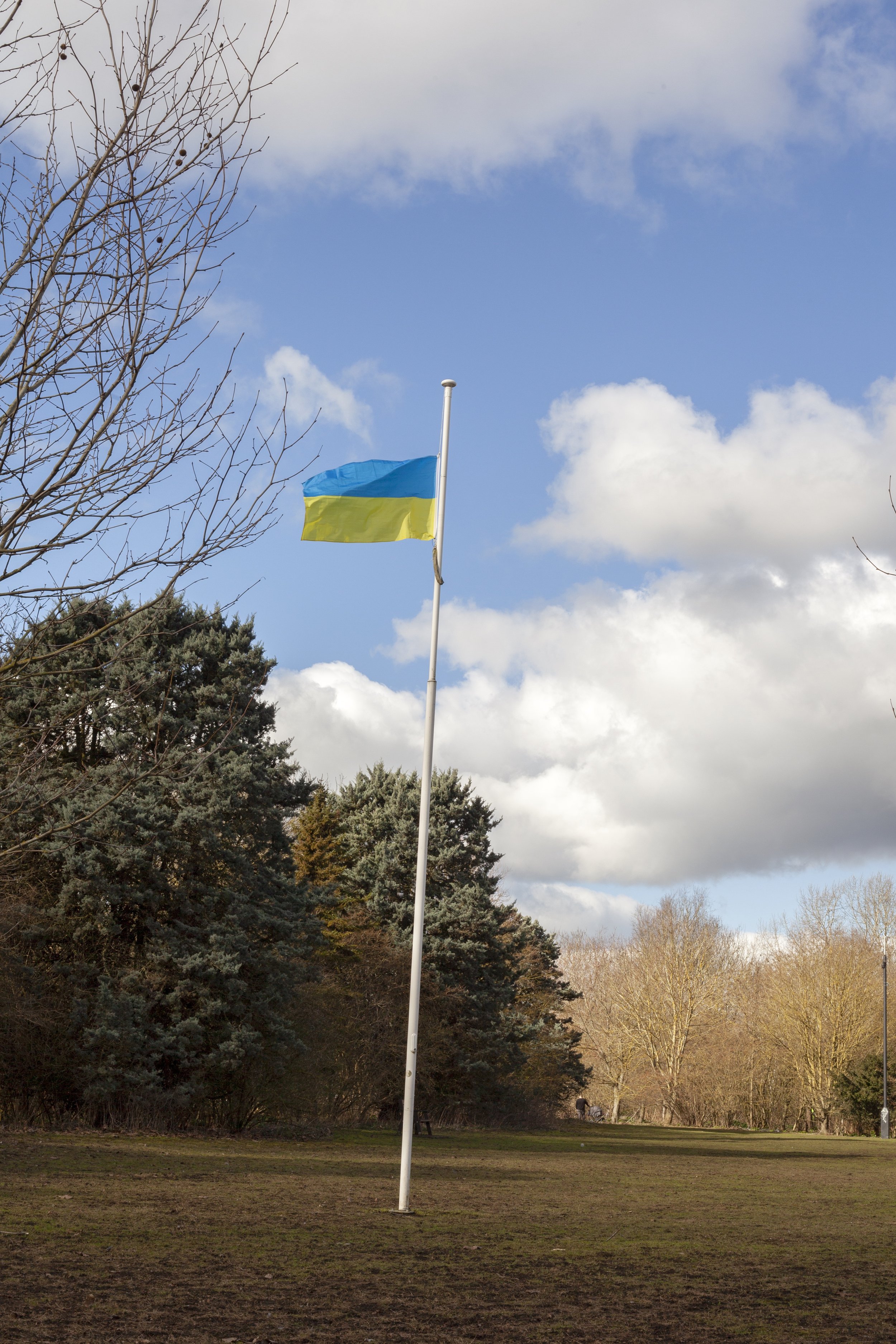 flag_reedit.jpeg