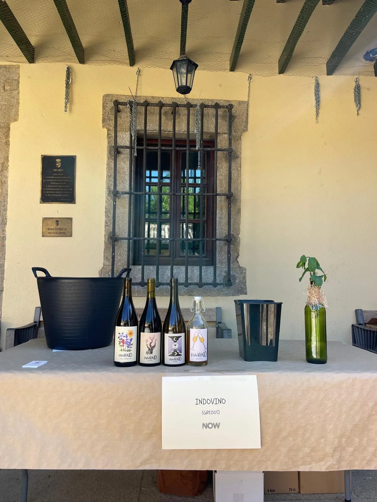 WhatsApp Image 2026-01-18 at 10.19.44 (3).jpeg