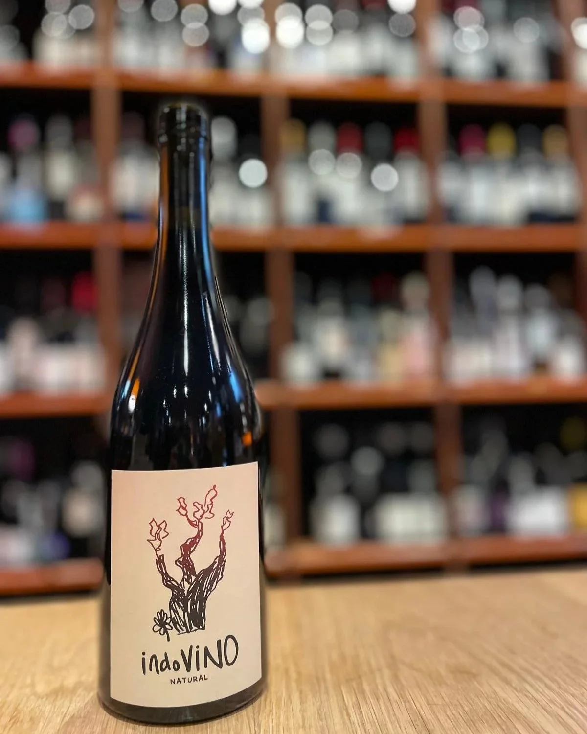 indoVINO 6-Pack (shipped to anywhere in the EU)