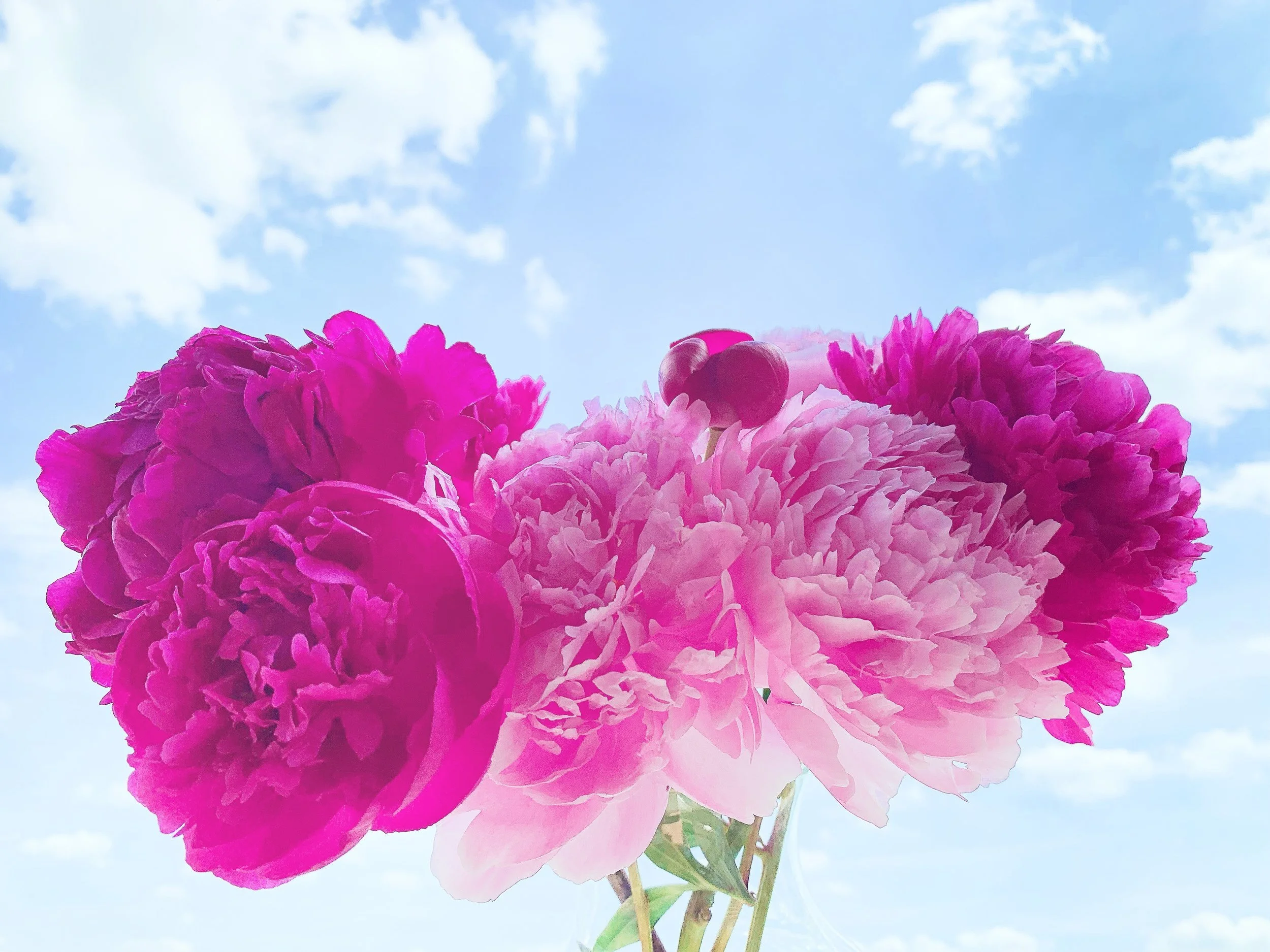 June 2019 Book Recap