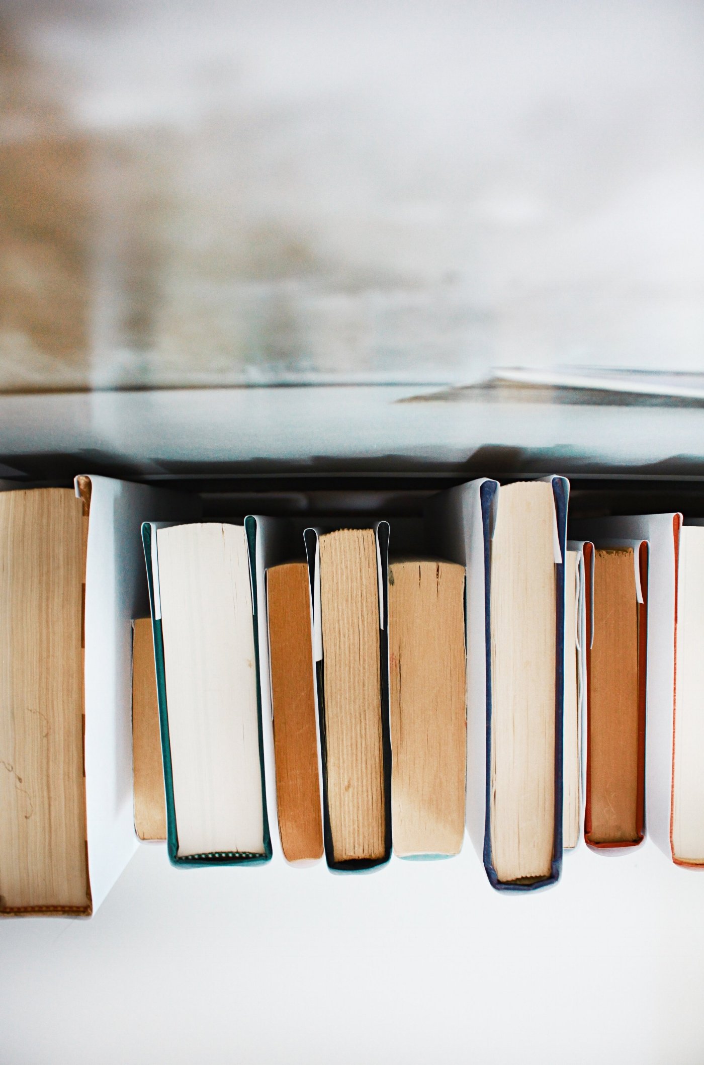 My Favorite Nonfiction of 2018