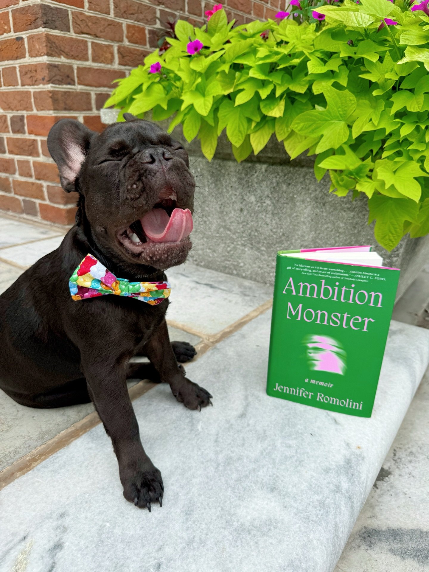 𝘞𝘩𝘢𝘵 𝘩𝘢𝘷𝘦 𝘺𝘰𝘶 𝘥𝘰𝘯𝘦 𝘵𝘰𝘥𝘢𝘺 𝘵𝘰 𝘦𝘢𝘳𝘯 𝘺𝘰𝘶𝘳 𝘱𝘭𝘢𝘤𝘦 𝘪𝘯 𝘵𝘩𝘪𝘴 𝘤𝘳𝘰𝘸𝘥𝘦𝘥 𝘸𝘰𝘳𝘭𝘥?

^ This question is put forth repeatedly in the 2020 show Utopia (highly recommend) and it&rsquo;s one I frequently come back to. 