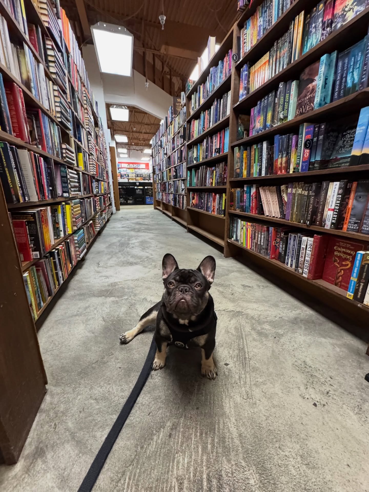 Dog friendly bookstores are the best.

📸 Frank&rsquo;s first Florida flight, January recap, etc

&ldquo;𝙰𝚗𝚍 𝚙𝚕𝚊𝚝𝚏𝚘𝚛𝚖𝚜 𝚖𝚘𝚜𝚝𝚕𝚢 𝚘𝚗𝚕𝚢 𝚘𝚏𝚏𝚎𝚛𝚎𝚍 𝚝𝚑𝚎 𝚒𝚕𝚕𝚞𝚜𝚒𝚘𝚗 𝚘𝚏 𝚝𝚘𝚐𝚎𝚝𝚑𝚎𝚛𝚗𝚎𝚜𝚜. 𝚃𝚑𝚎𝚢 𝚊𝚛𝚎 𝚗𝚘𝚝 𝚙𝚞