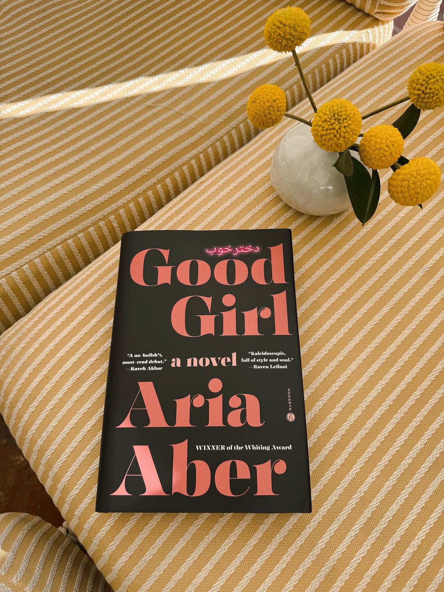 What does it mean to be &ldquo;good&rdquo;? It&rsquo;s a question I&rsquo;ve asked my entire life. 

It&rsquo;s also the central question of Aria Aber&rsquo;s semi-autobiographical debut novel featuring a messy, unreliable narrator exploring her iden