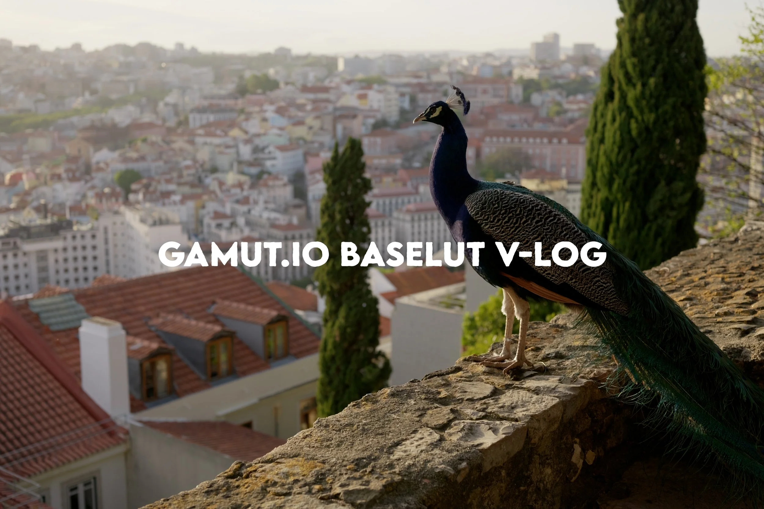 s1ii gamutio baseluts3.jpg