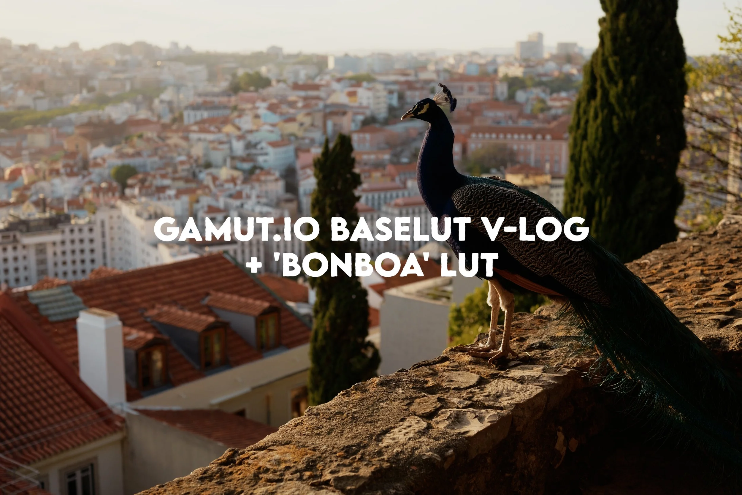 s1ii gamutio baseluts6.jpg