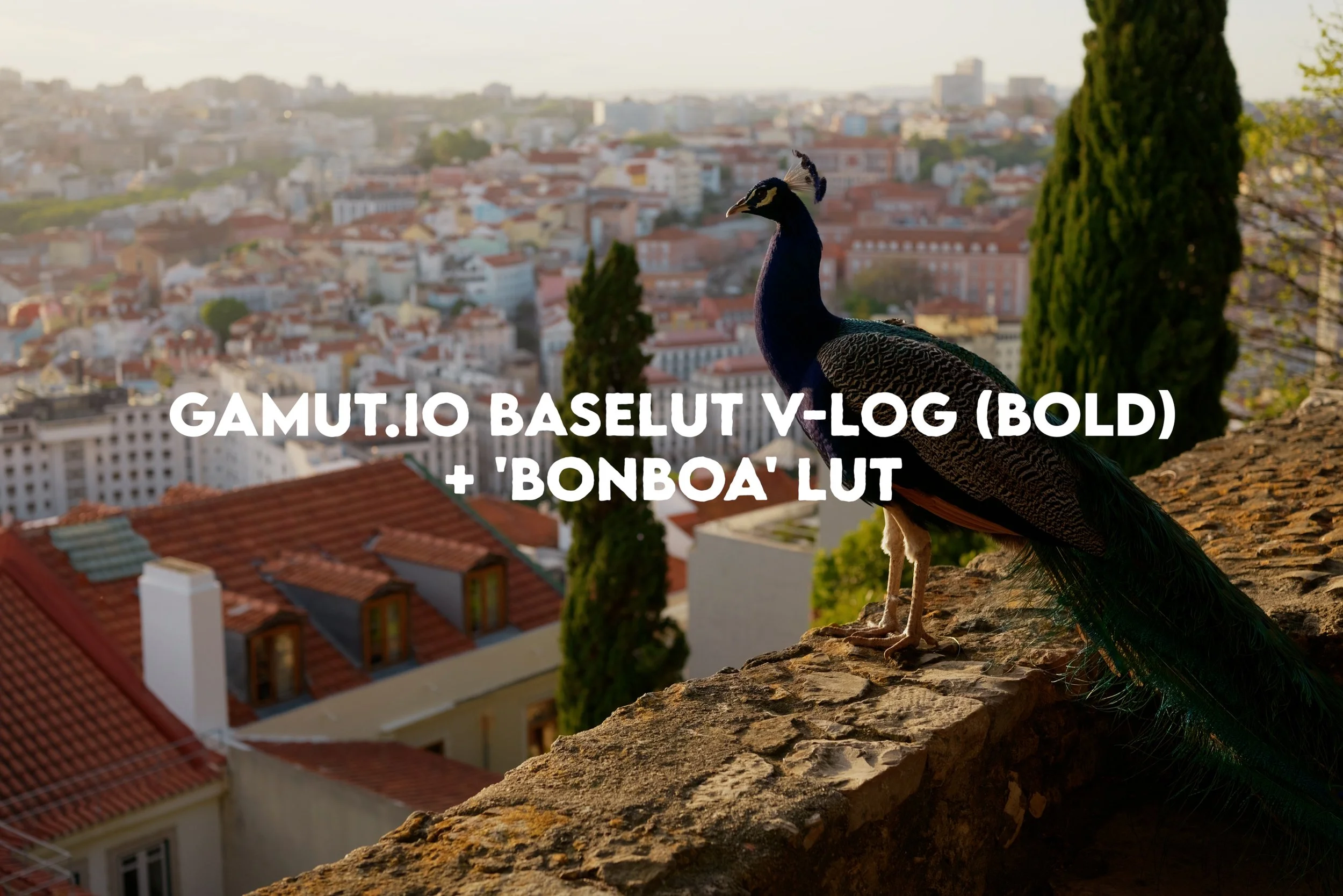 s1ii gamutio baseluts7.jpg