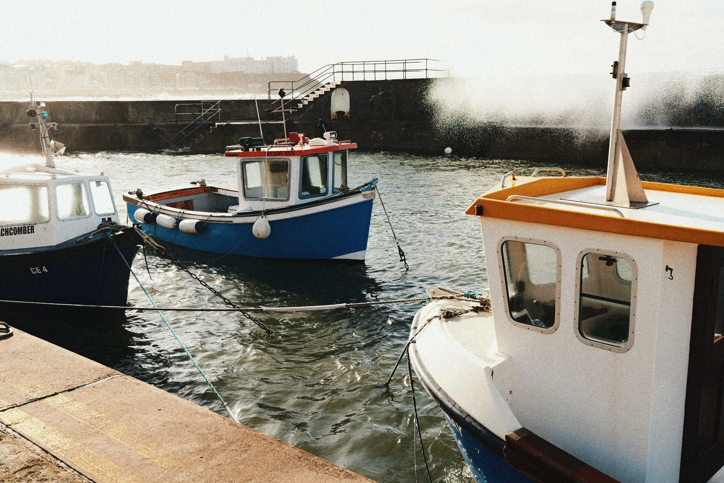 259 North Coast Portra 800 (19).jpg