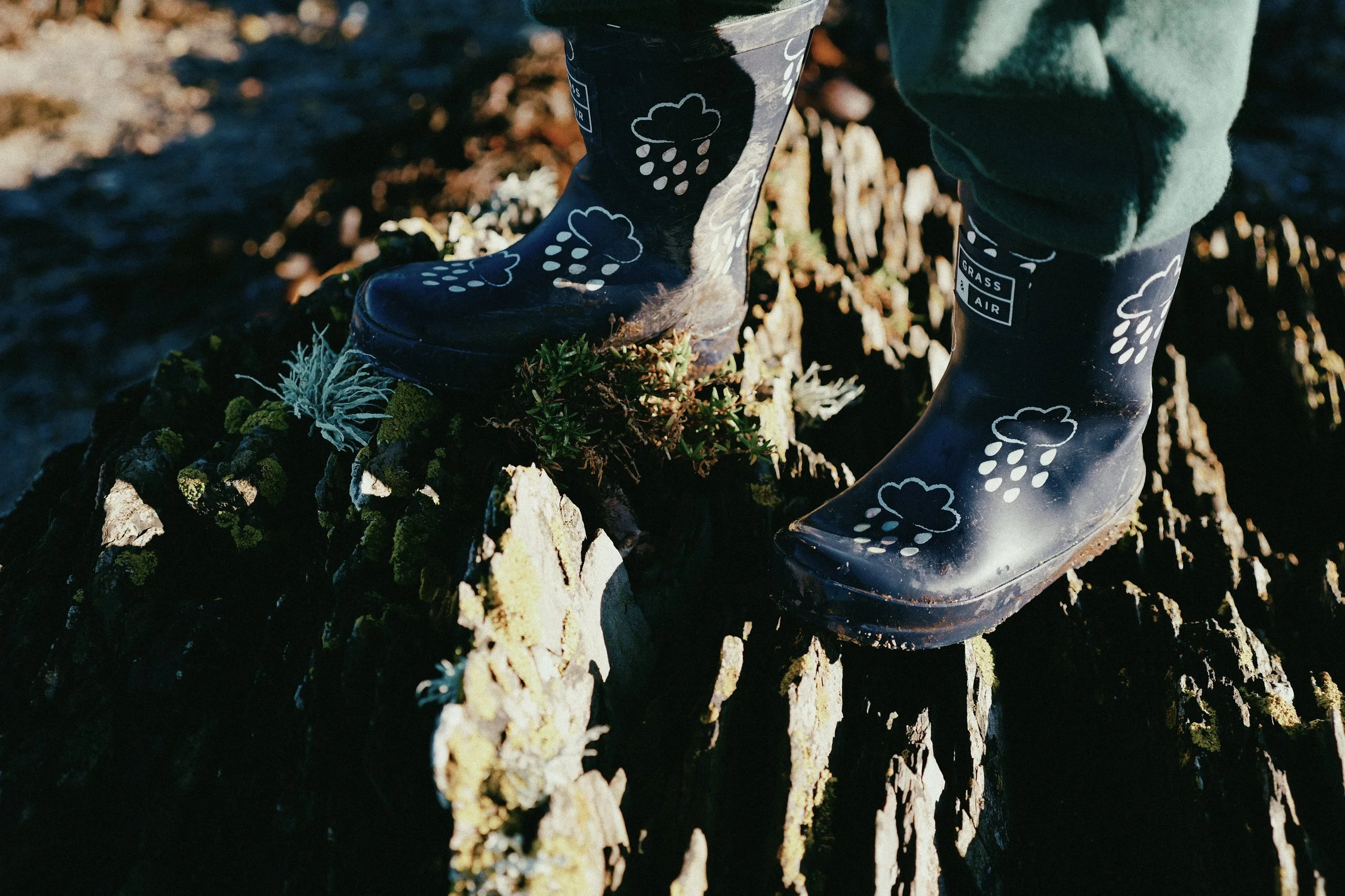249 CineStill 50D LUMIX look50.jpg