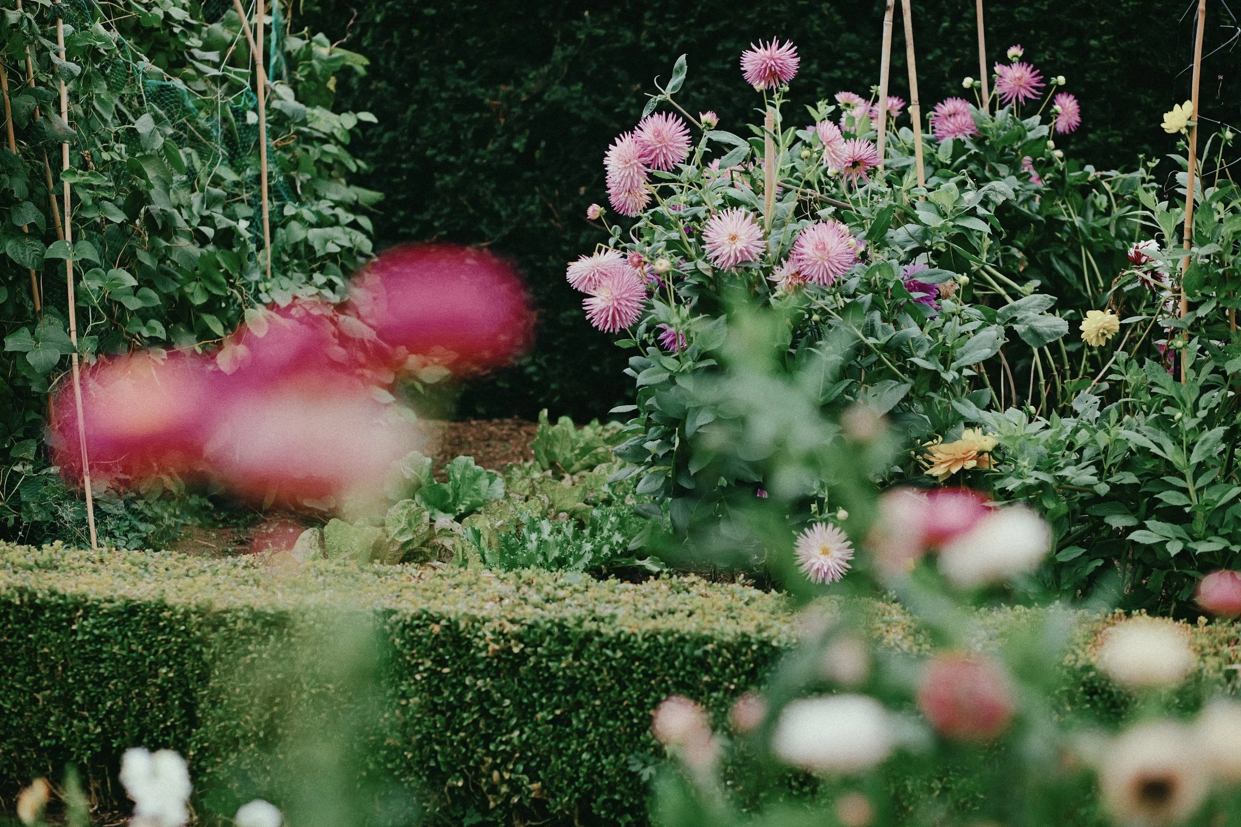249 CineStill 50D LUMIX look38.jpg