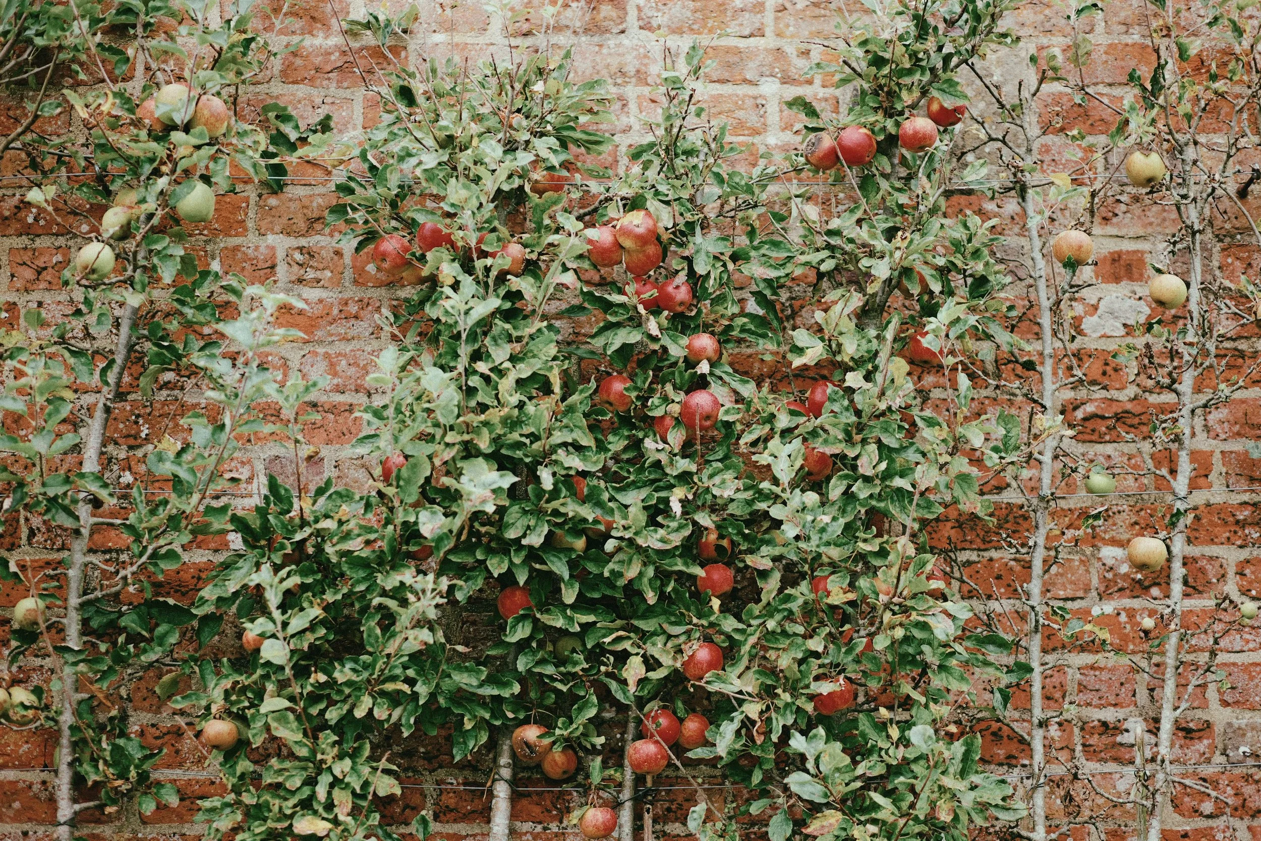 249 CineStill 50D LUMIX look36.jpg