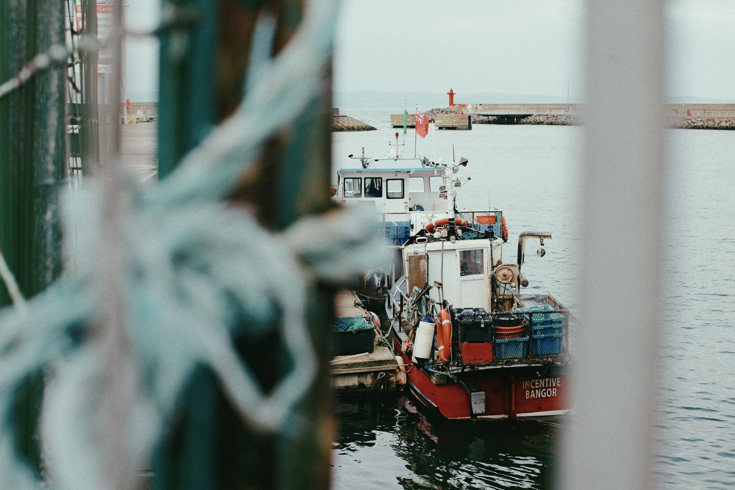 249 CineStill 50D LUMIX look11.jpg