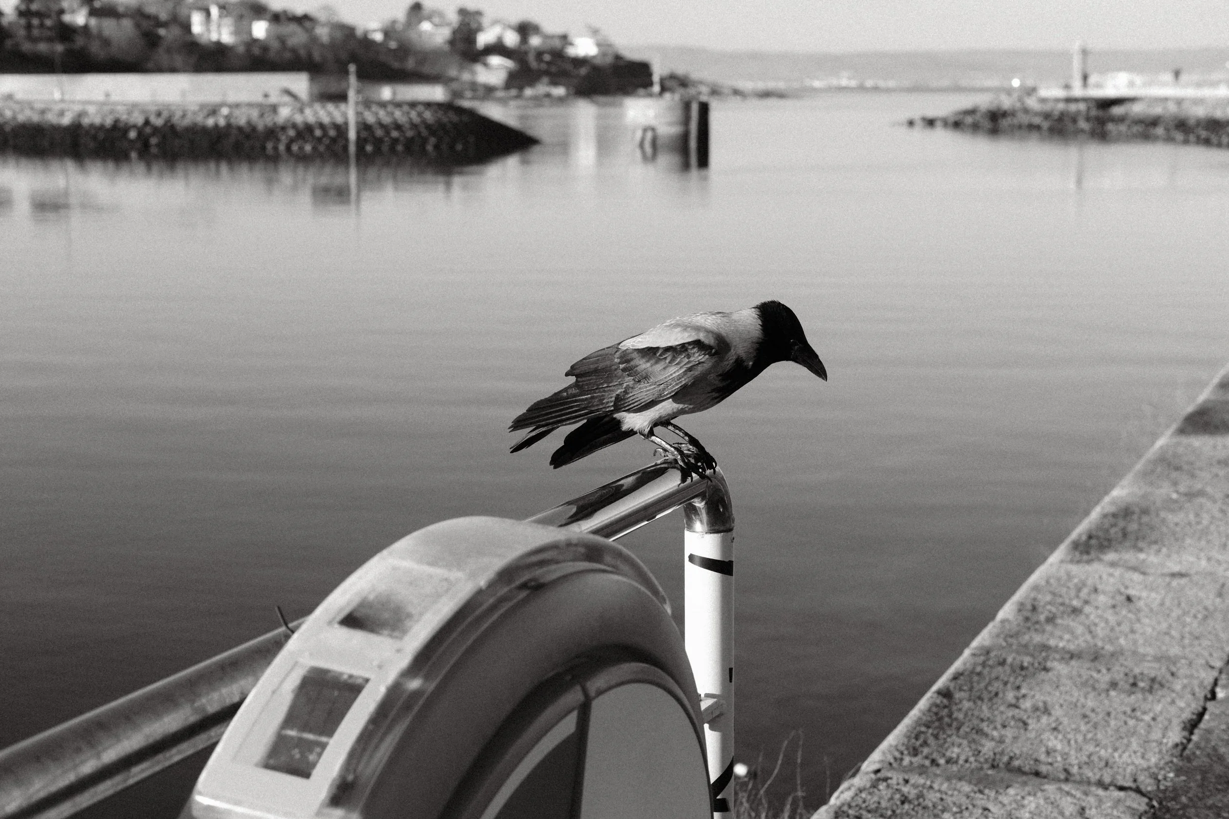 270 Oxygen Mono Recipe SOOC109.jpg